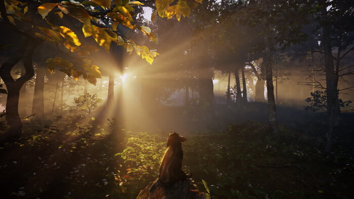 Adorable Adventures Free Download Torrent