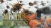 Download Airships: Lost Flotilla
