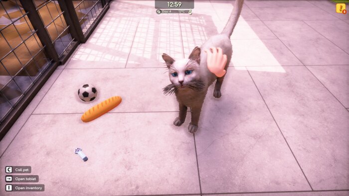 Animal Shelter 2 Free Download Torrent