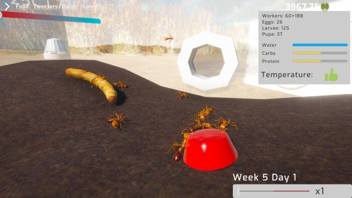 Ant Keeping Simulator Free Download Torrent