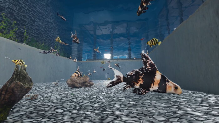 Aquarist - Asian Fish DLC Crack Download