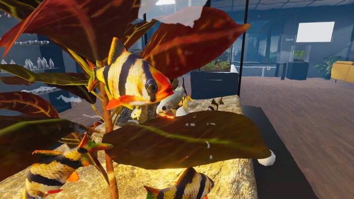Aquarist - Asian Fish DLC PC Crack