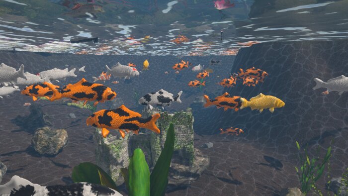 Aquarist - Japanese Garden DLC Free Download Torrent