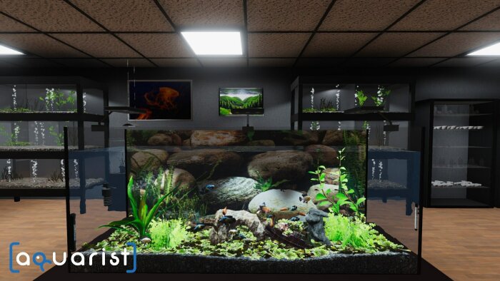 Aquarist Download Free