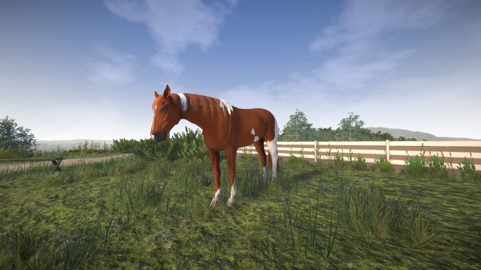 Astride PC Crack