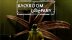 Download Backroom Company