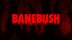 Download Banebush