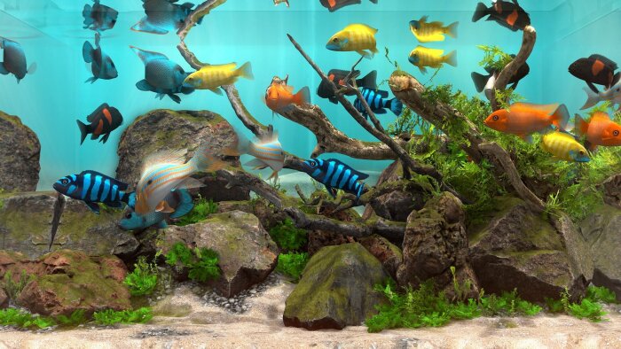 Behind Glass: Aquarium Simulator Download Free