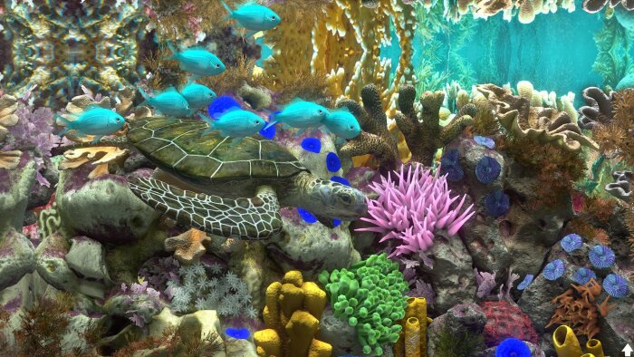 Behind Glass: Aquarium Simulator Free Download Torrent