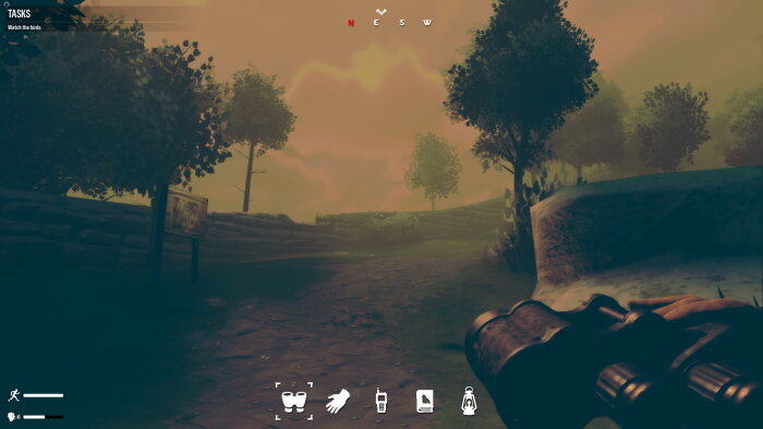 Birds Watching Download Free