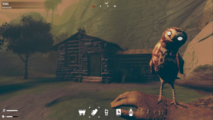 Birds Watching PC Crack