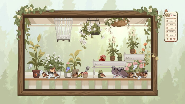 Birdwatching Notebook Free Download Torrent