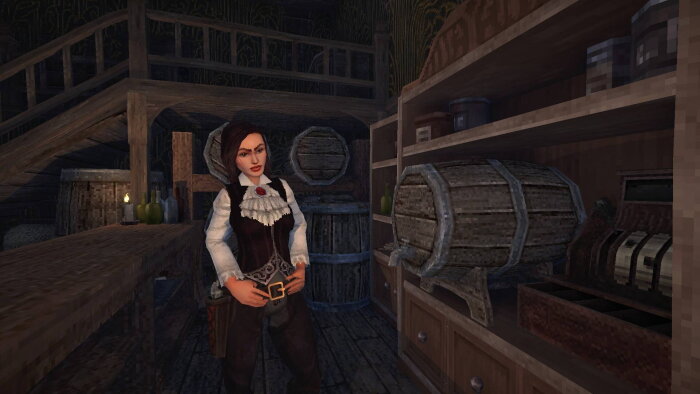 Blood West: Scavengers Download Free