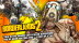 Download Borderlands 2