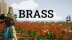 Download Brass
