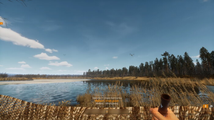 BULT: Hunting simulator PC Crack