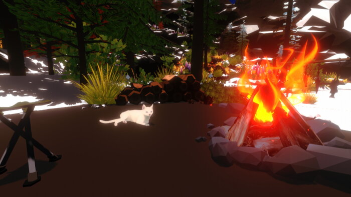 Campfire with Cat Download Free