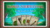 Download Card Survival: Tropical Island