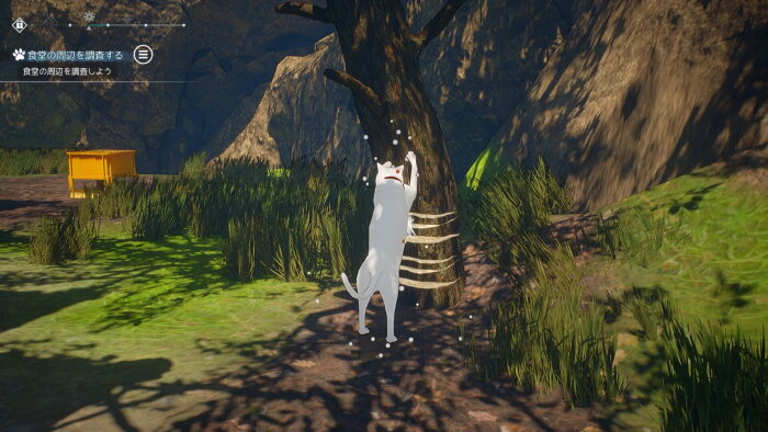 Cat Island Petrichor Free Download Torrent