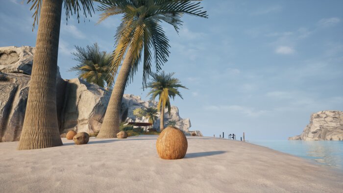 Coconut Simulator PC Crack