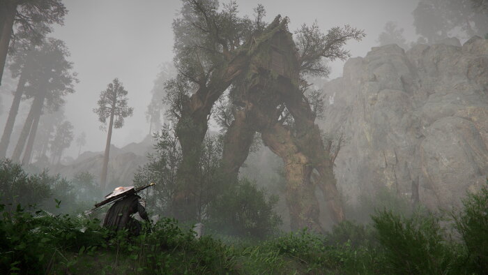 Crimson Desert Crack Download