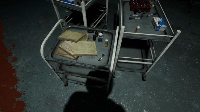 Cursed Hospital PC Crack
