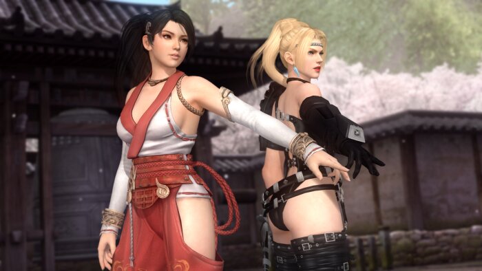 DEAD OR ALIVE 5 Last Round: Core Fighters PC Crack