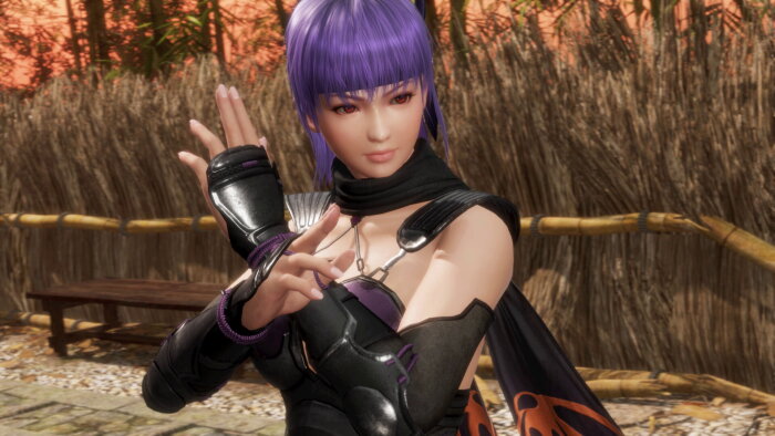 DEAD OR ALIVE 6 Last Round Crack Download