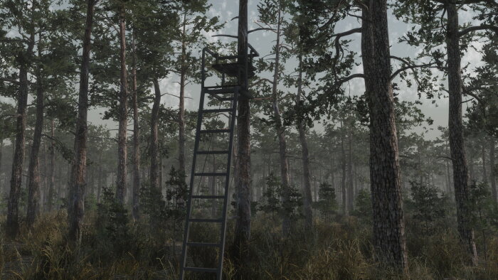 Deer Hunting Camp Crack Download