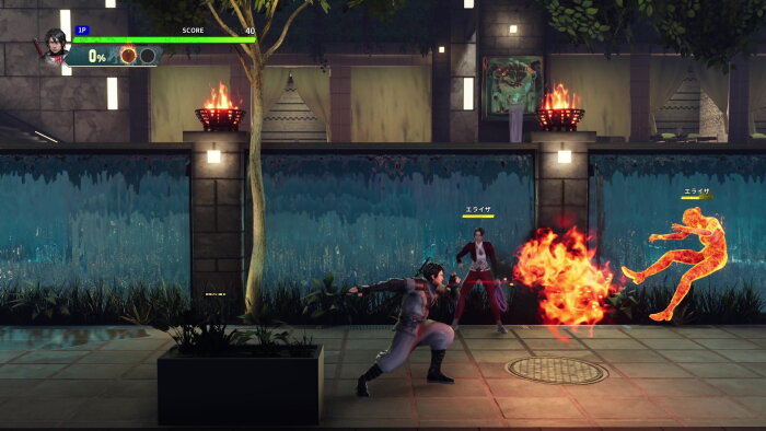 Double Dragon Revive Crack Download