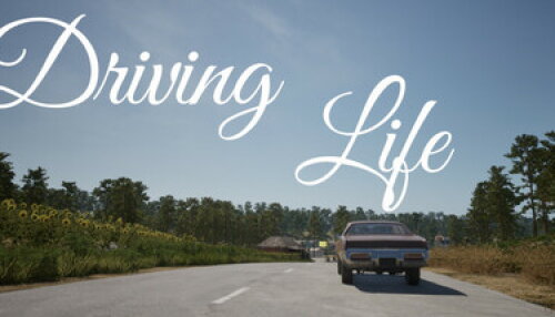 Download Driving Life