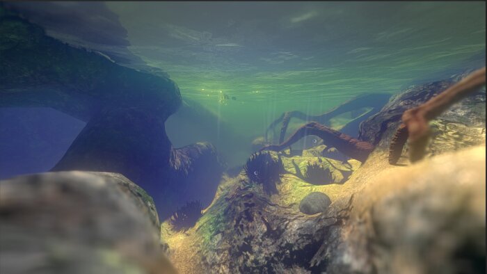 Feed and Grow: Fish Free Download Torrent