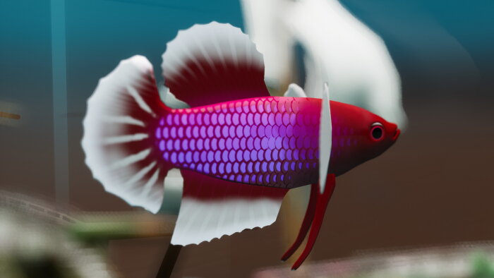 Fish Game - Betta Fish Pack 1 Download Free