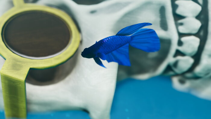 Fish Game - Betta Fish Pack 1 Free Download Torrent