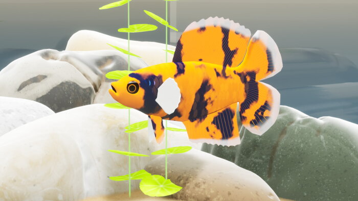 Fish Game - Betta Fish Pack 1 Crack Download