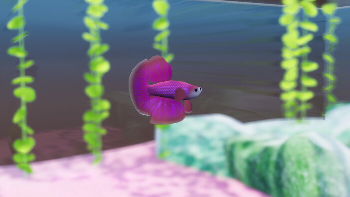 Fish Game - Betta Fish Pack 1 PC Crack