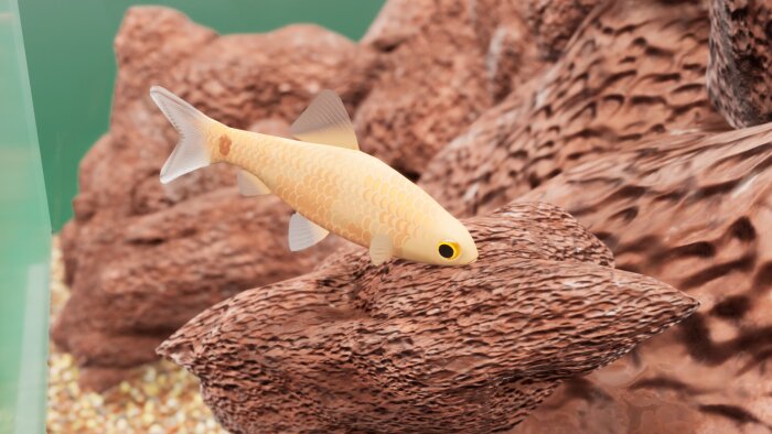 Fish Game - Indian Subcontinent Fish Pack 1 Download Free