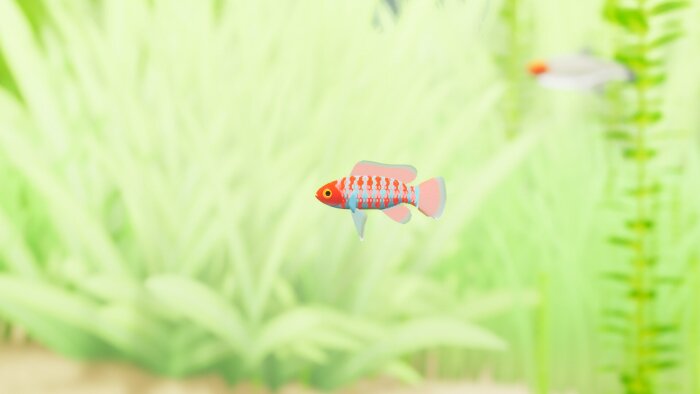 Fish Game - Indian Subcontinent Fish Pack 1 Free Download Torrent