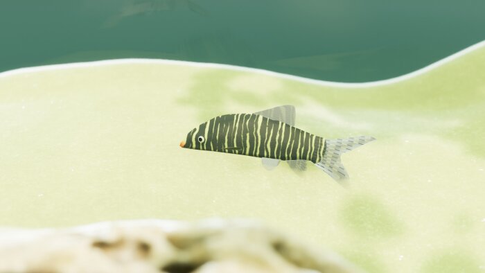 Fish Game - Indian Subcontinent Fish Pack 1 PC Crack