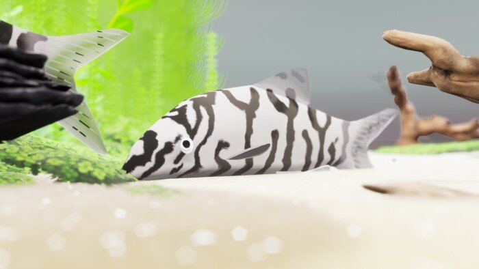 Fish Game - Indian Subcontinent Fish Pack 1 Repack Download