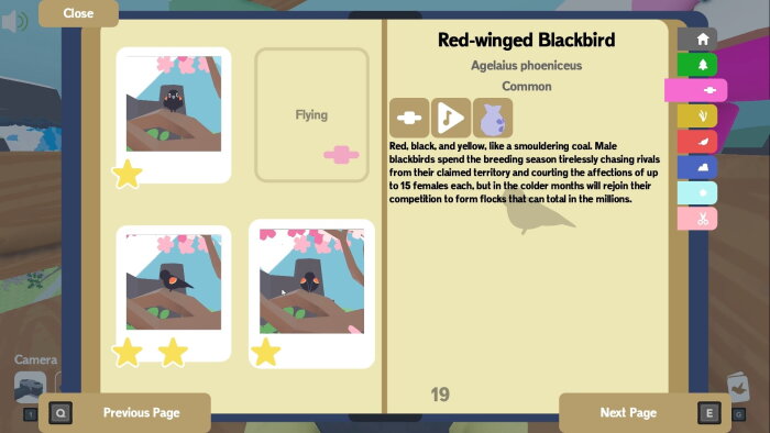 Flock Around PC Crack