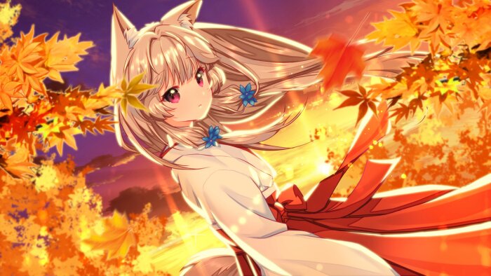 Fox Hime Crack Download