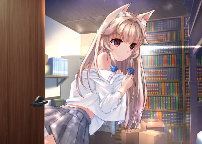 Fox Hime PC Crack