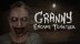 Download Granny: Escape Together