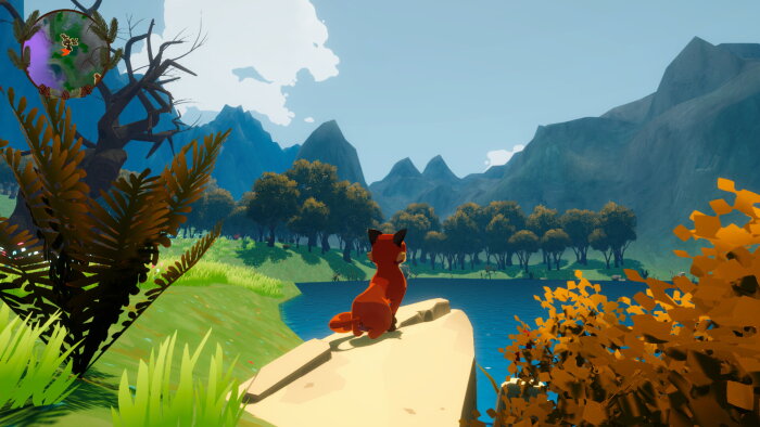 Harmony in the Wild Download Free