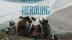 Download Herdling