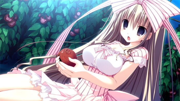 HimaNatsu: Of Churches, Sunflowers, and Long Summers Crack Download