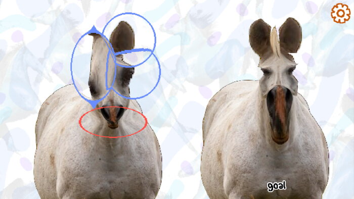 Horse Magnifier: The Full Horse Crack Download