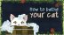 Download How To Bathe Your Cat