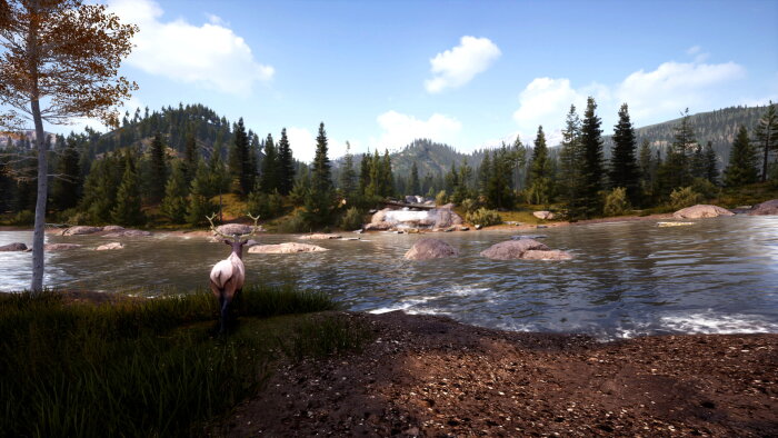 Hunting Simulator 2 PC Crack